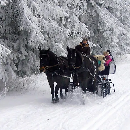 Дом отдыха Logierhaus An Der Truse Броттероде