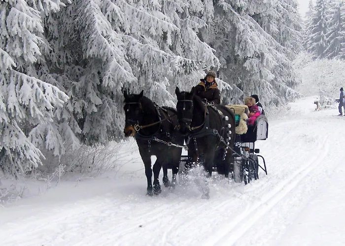 Tatil Evi Logierhaus An Der Truse Brotterode