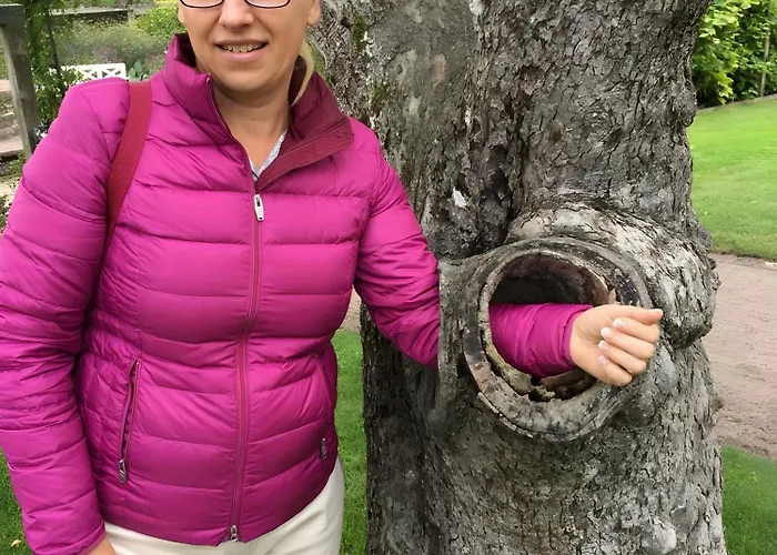 Logierhaus An Der Truse * Brotterode